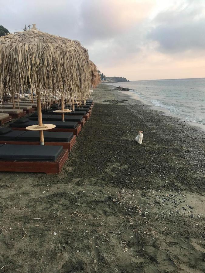 La Playa Boutique Apartments Myrties Екстериор снимка